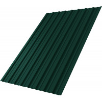Профнастил С10A 0,45 PE-Double RAL 6005 зеленый мох