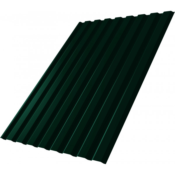 Профнастил С20A 0,45 PE-Double RAL 6005 зеленый мох